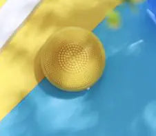Ultrasonic Skincare Brush & Massager