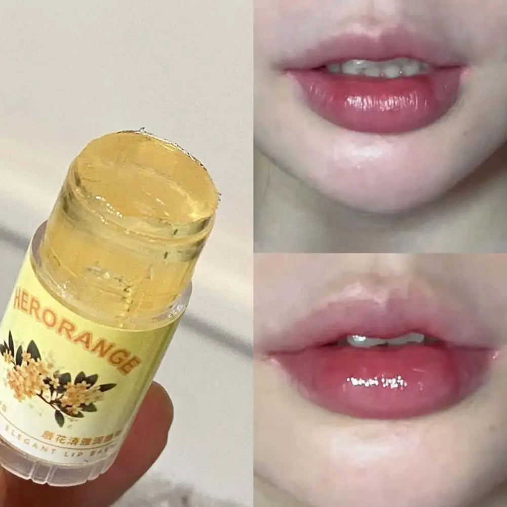 Moisturizing Lip Balm — Natural Plant Hydrating, Anti-Dryness & Fruity Jelly Daily Lip Care BeautyBond